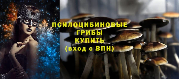 эйфоретик Горнозаводск