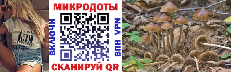Купить закладки  Углич  Псилоцибиновые грибы MAGIC MUSHROOMS 